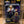 Big Rubber Guys UV Resistant Acrylic Case - Size 4 (BRG-AC-04)